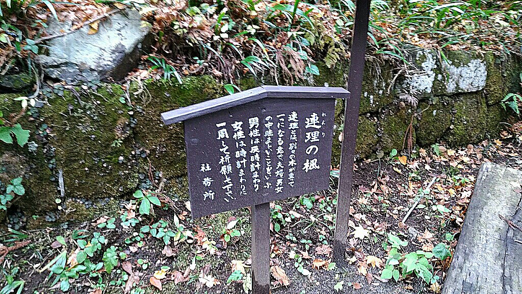 河口浅間神社20161123_36.jpg